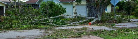 Catastrophe naturelle en assurance