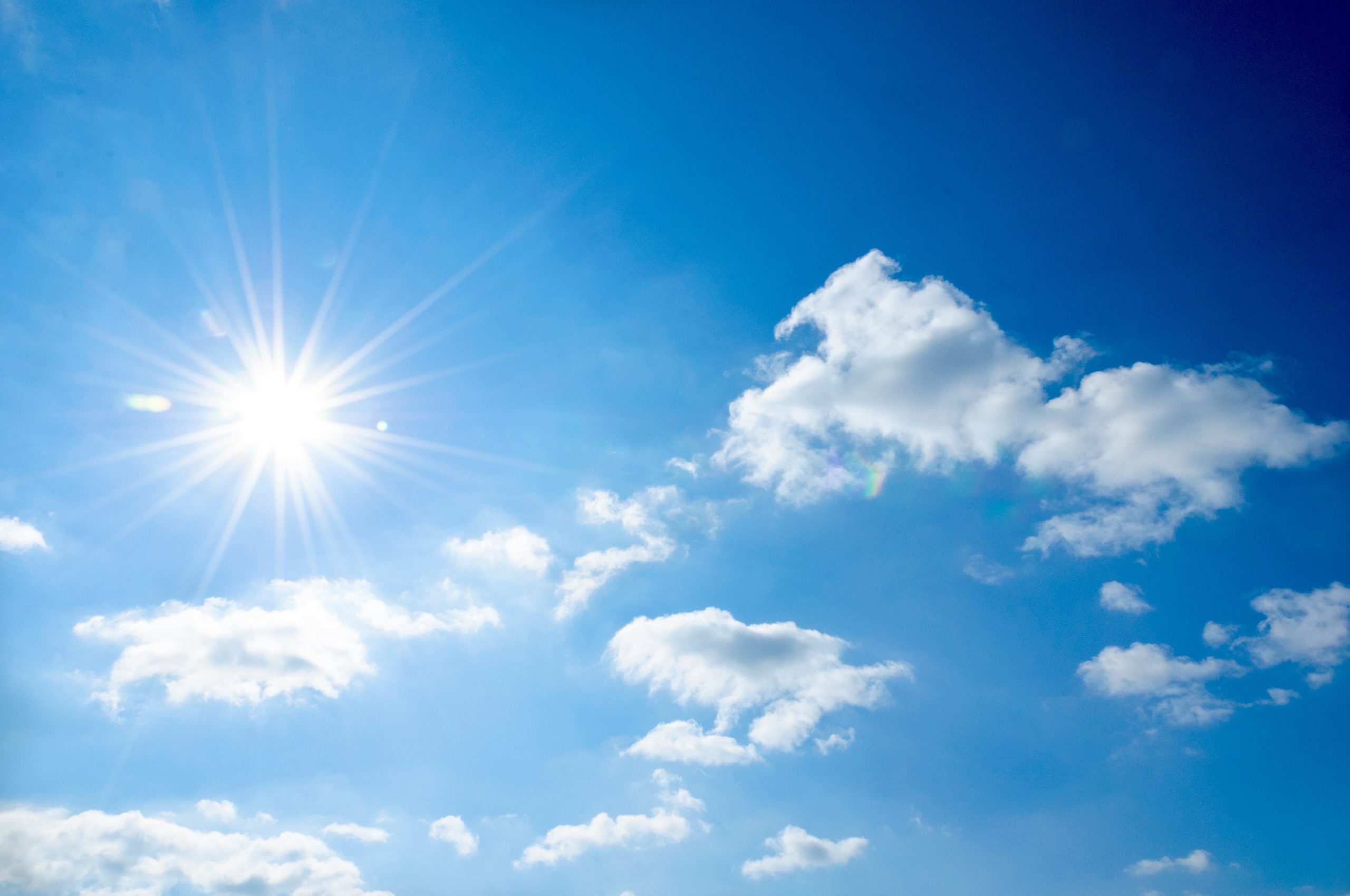 Canicule : les précautions à prendre