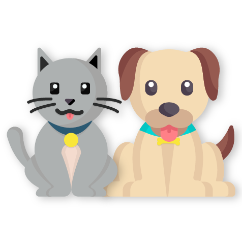 visuel Assurance santé chien ou chat