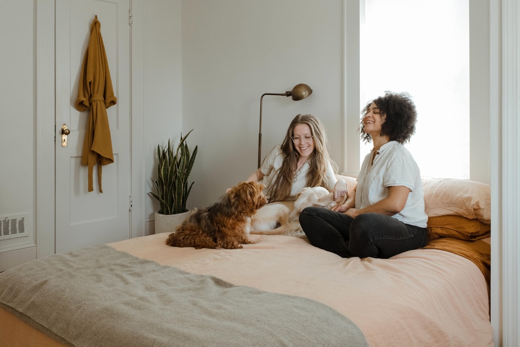 Colocation et assurance habitation, comment ça marche ?