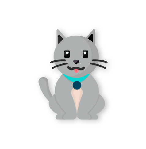 visuel Assurance chat