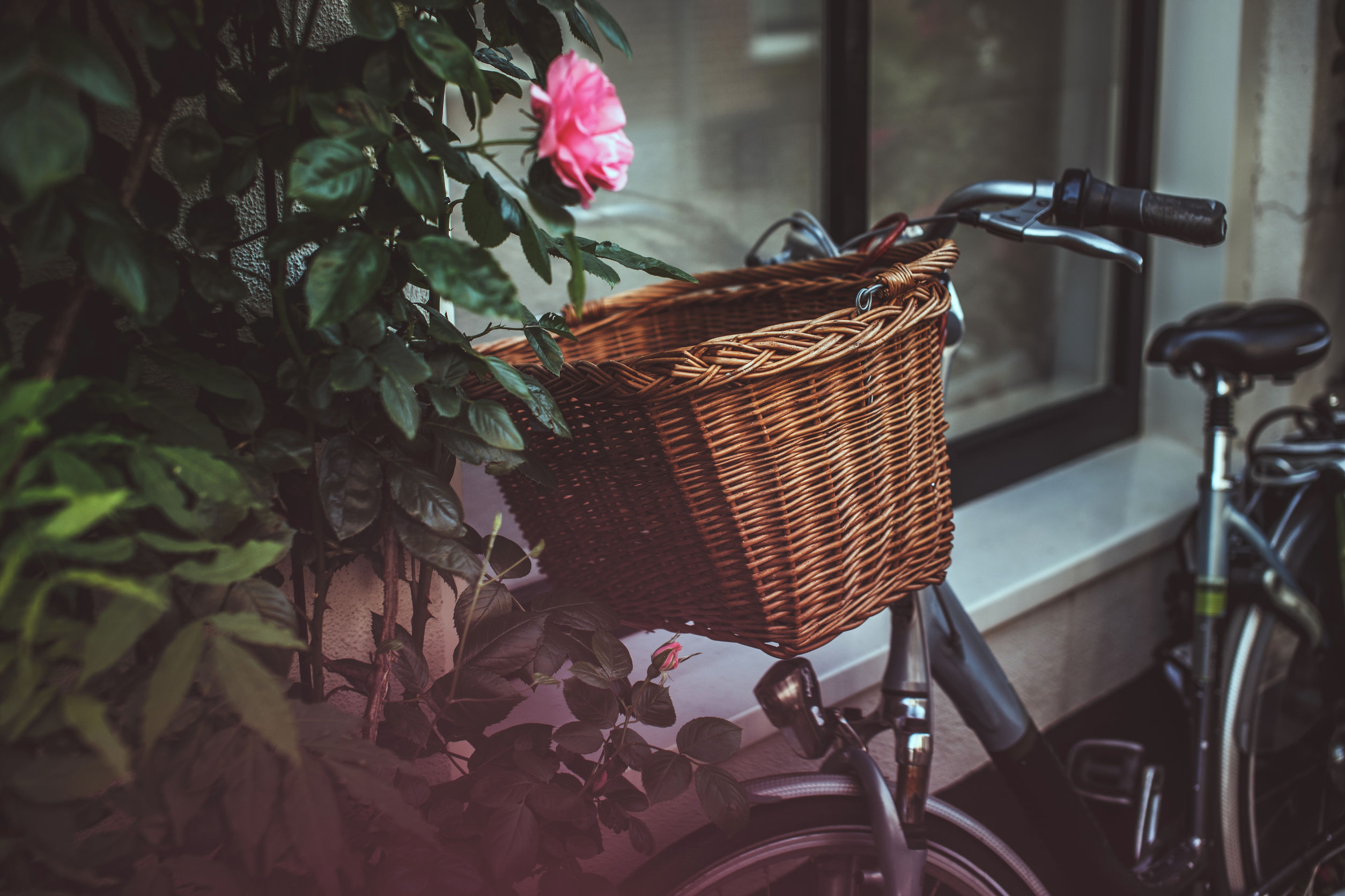 Quelques astuces pour éviter de vous faire voler votre vélo